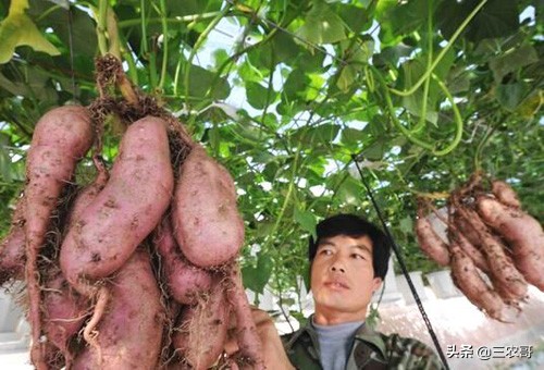 农村现在挣钱的门路有哪些,农村不起眼的挣钱门路有什么