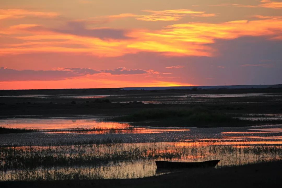 额济纳戈壁滩记录,额济纳戈壁滩沙漠
