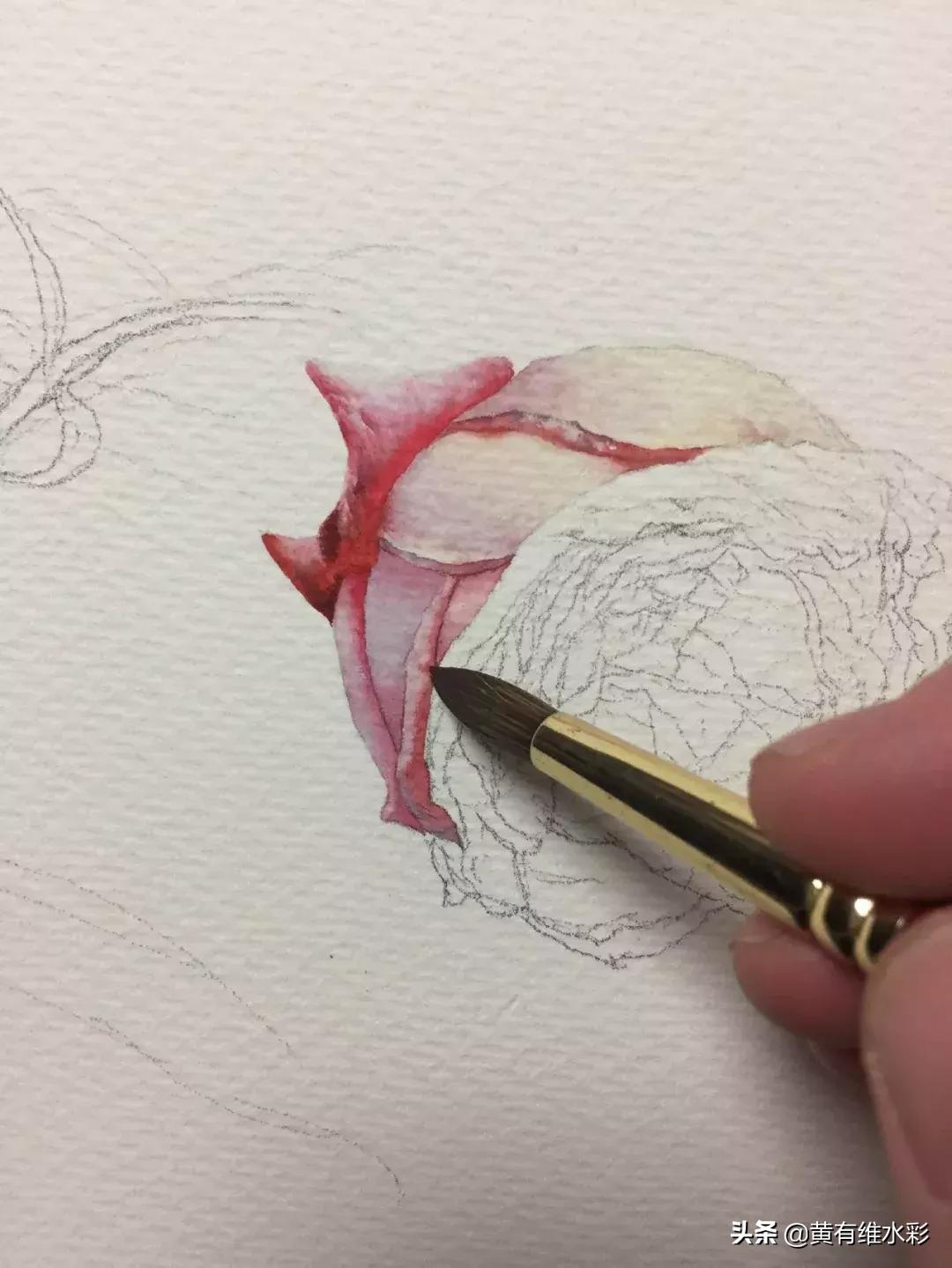 33朵玫瑰制作全过程,英伦花教程