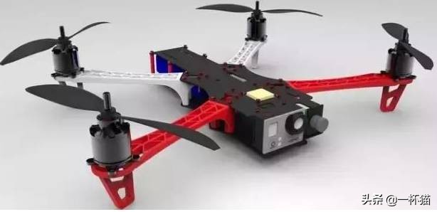 一根猫、一滩猫、一架猫，喵星人逆天姿势大全