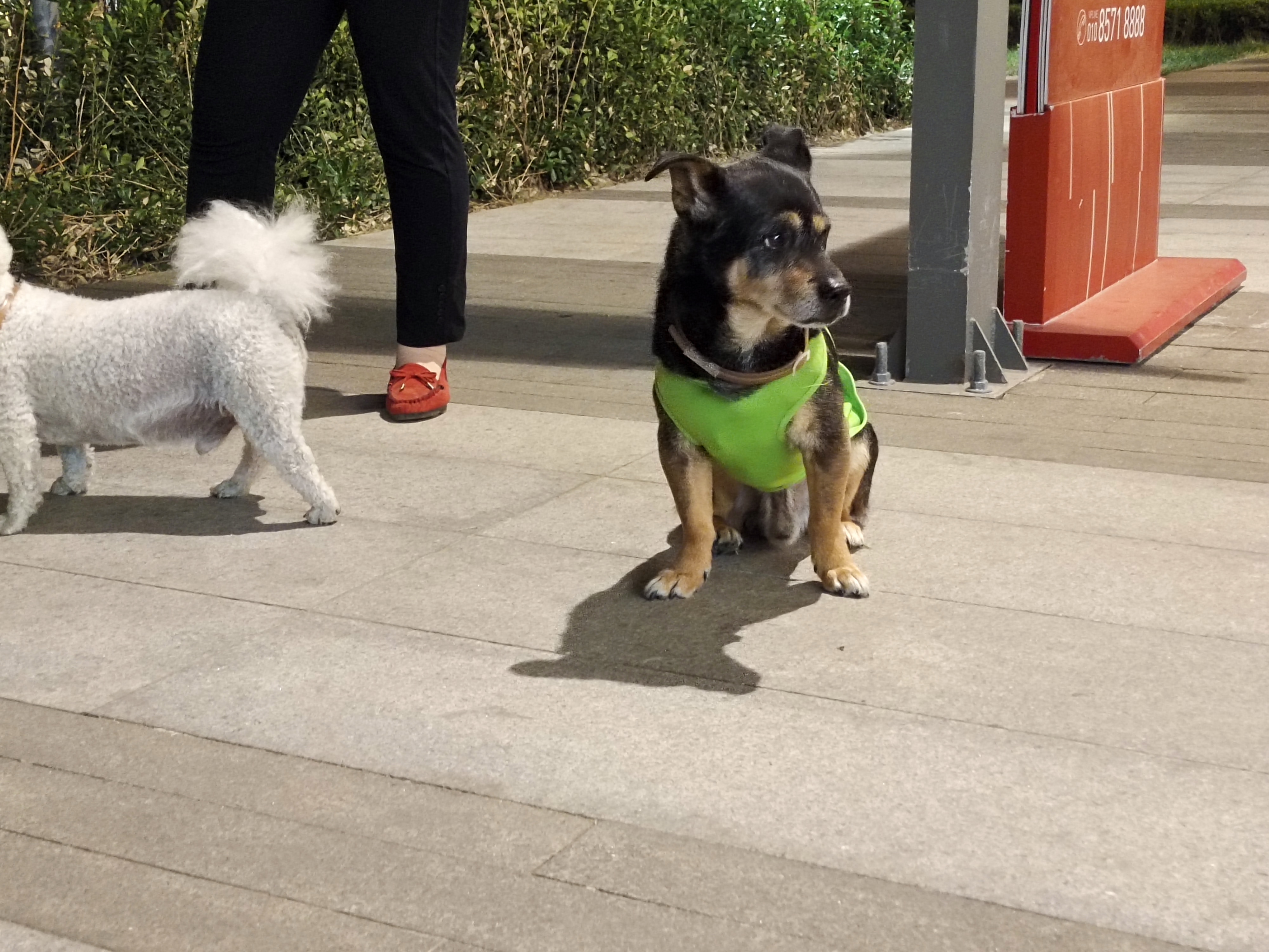 vivos6又曝亮点轻薄机身,vivos6性能提升