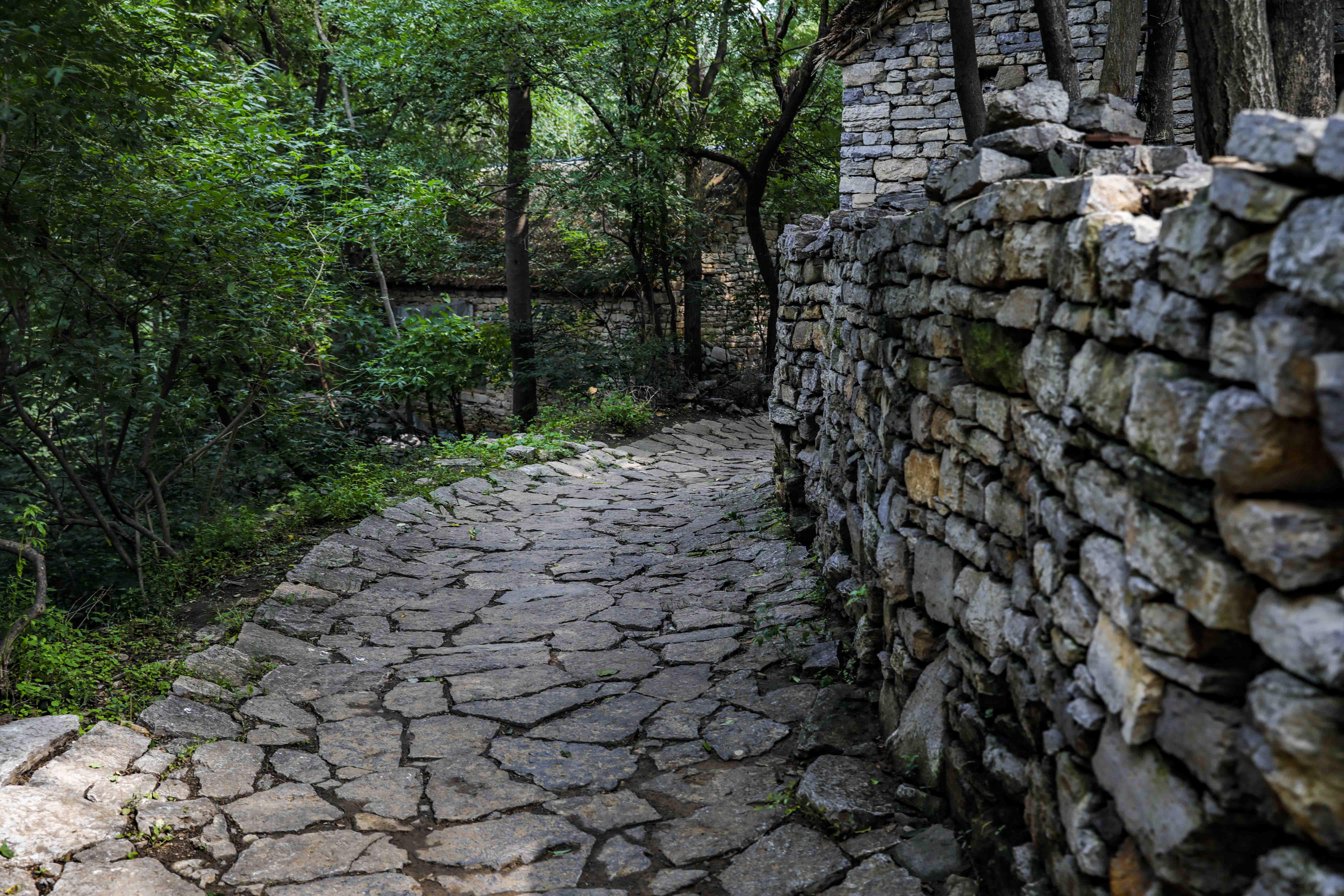 青州夏季一日游的好地方,青州周末旅游攻略