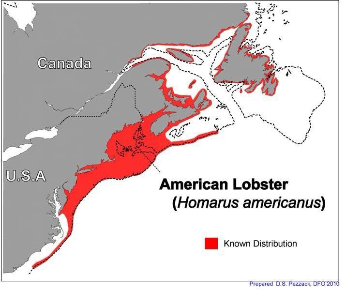 缇庡浗娉㈠＋椤垮埌缃楀垏鏂壒,浠庢尝澹】鍒板姞鎷垮ぇ