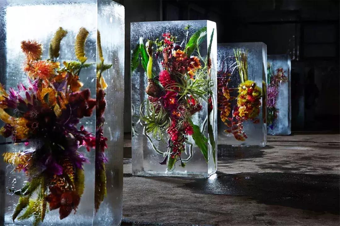 七夕送花送什么花是最有创意的,七夕送花送什么花才好看才浪漫