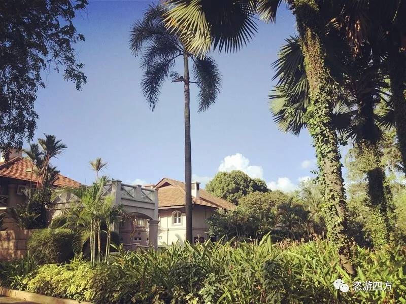 春节去新加坡亲子游记,新加坡亲子游3天2晚自由行含机票