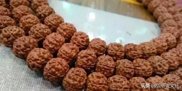 小金刚菩提清理果肉,小金刚菩提清理到什么程度