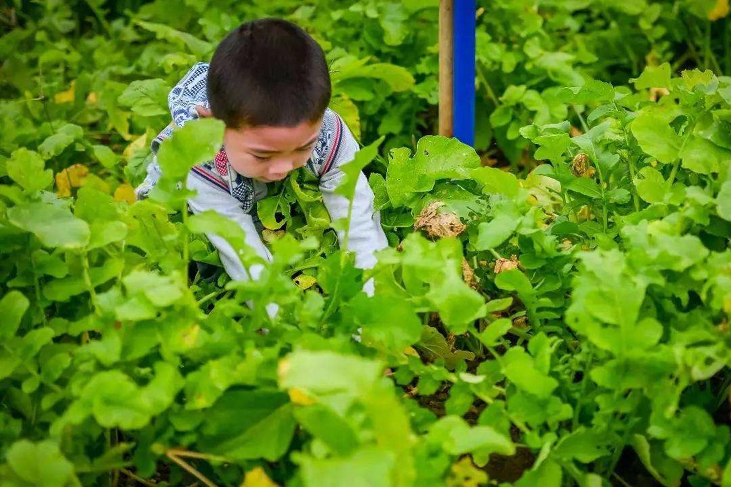 “躺赢父母”全都是“佛系带娃”？背后的心思，都花在这些细节里
