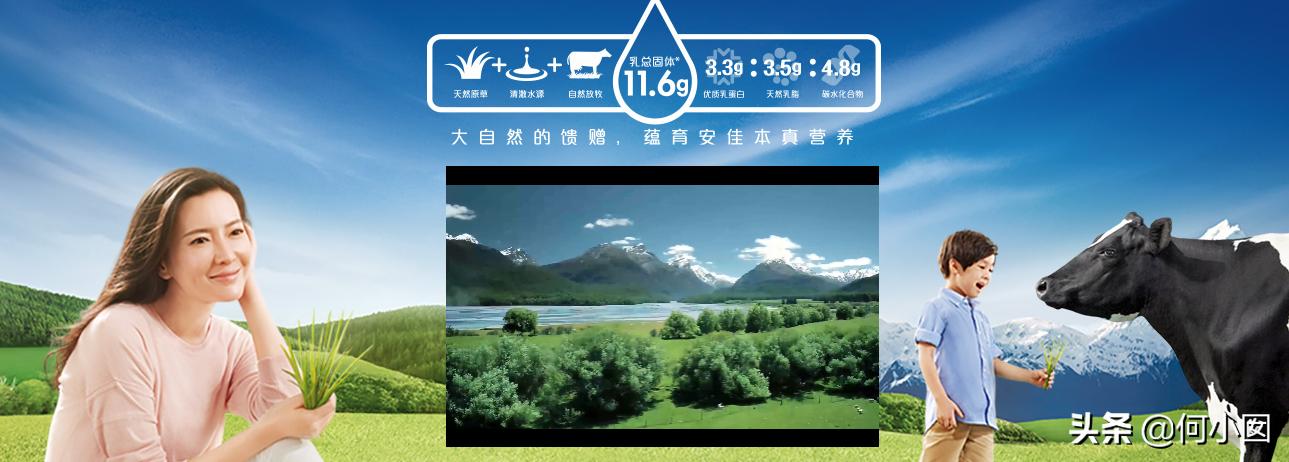 乐荷黄油和安佳黄油哪个好,总统安佳铁塔乐荷哪款奶油好