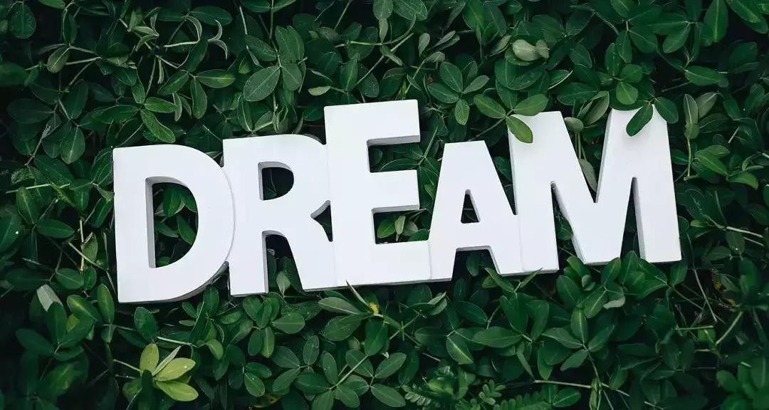 风险来临时,背负的房贷、车贷怎么办?