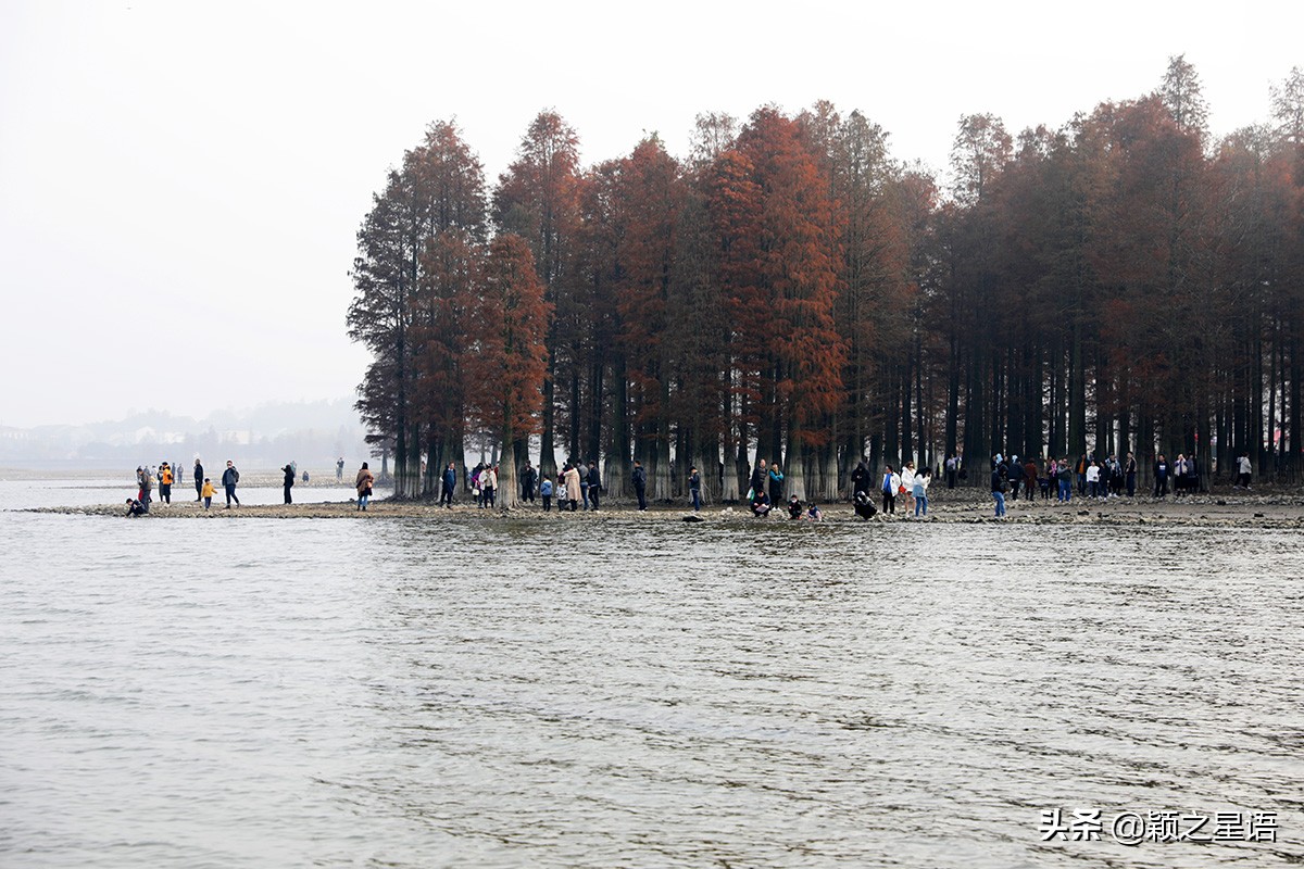 浣水桥在哪里,玉兔岛海滨风景