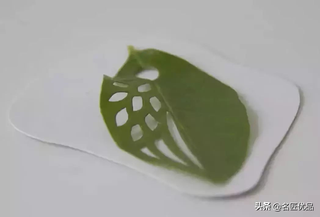 超惊艳的树叶手工,有趣的树叶手工制作