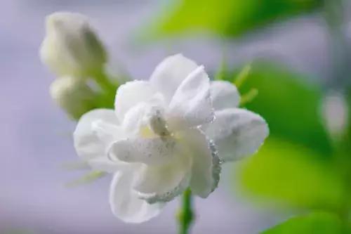 网红香水实惠的牌子推荐,有哪些网红推荐的香水好闻