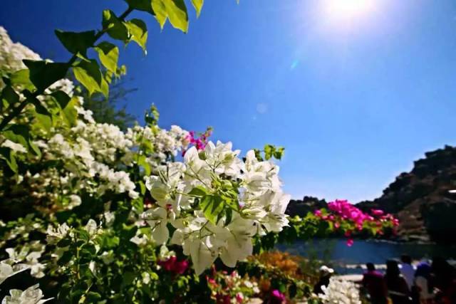 埃及旅游攻略书籍,埃及旅游冷知识