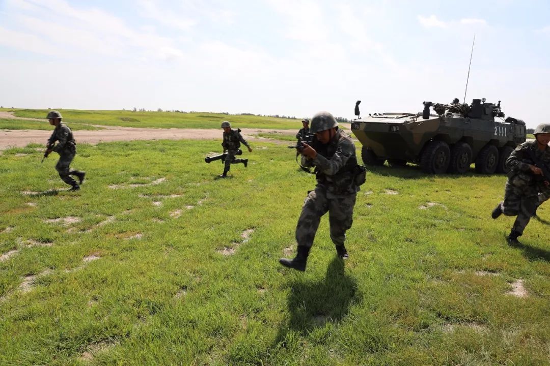 视点|看了才信!这个旅的“生命线”活力迸发