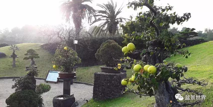 走进韩国思索之苑,这里算得上世界最美的庭园吗