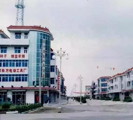 东成董事长照片顾志平,东成老板顾志平简介