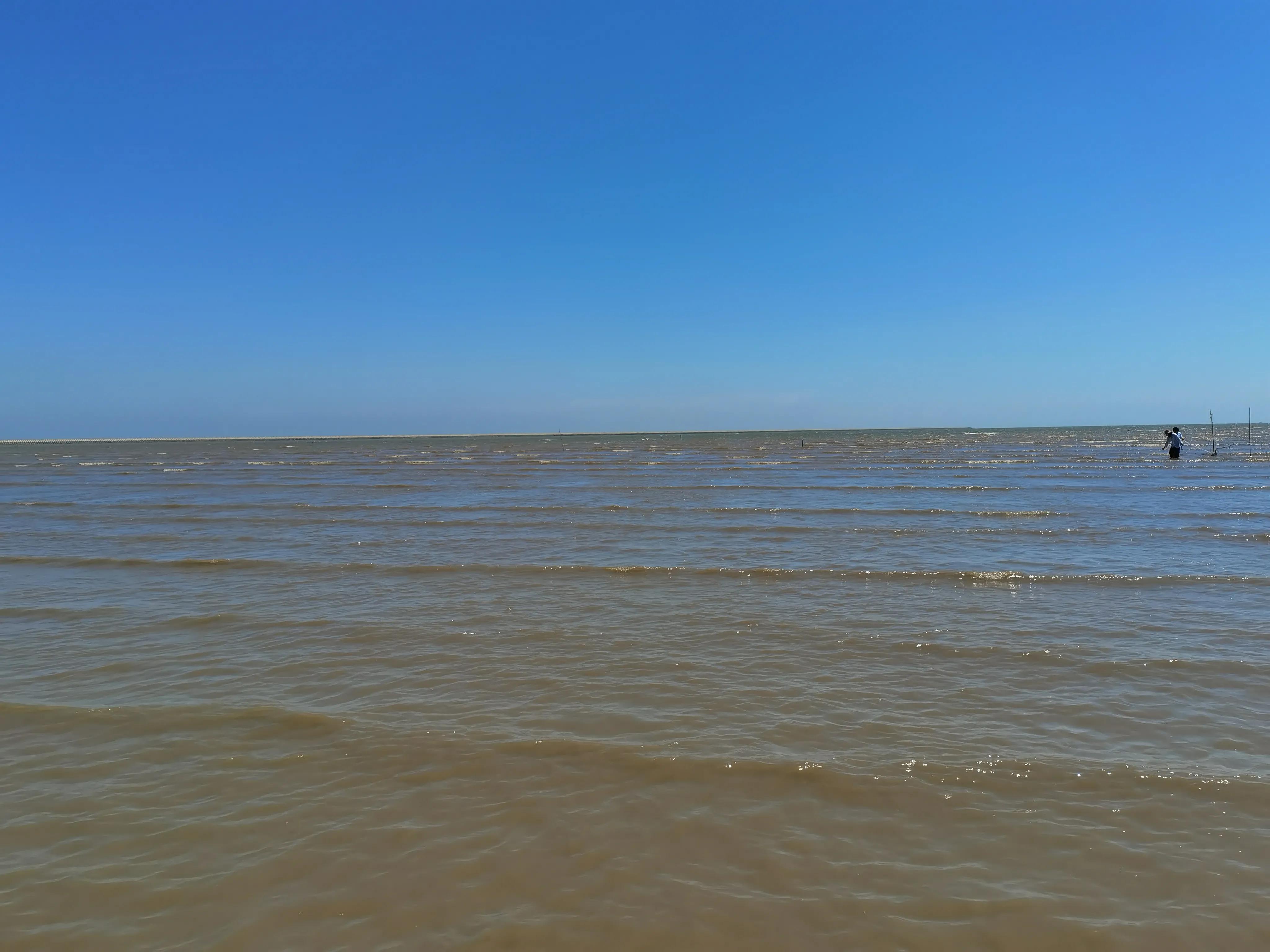 俚语漫谈—豫东地骂“七孙”分析