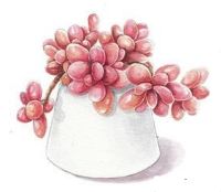 课外积累名句摘抄大全,成语积累好句摘抄