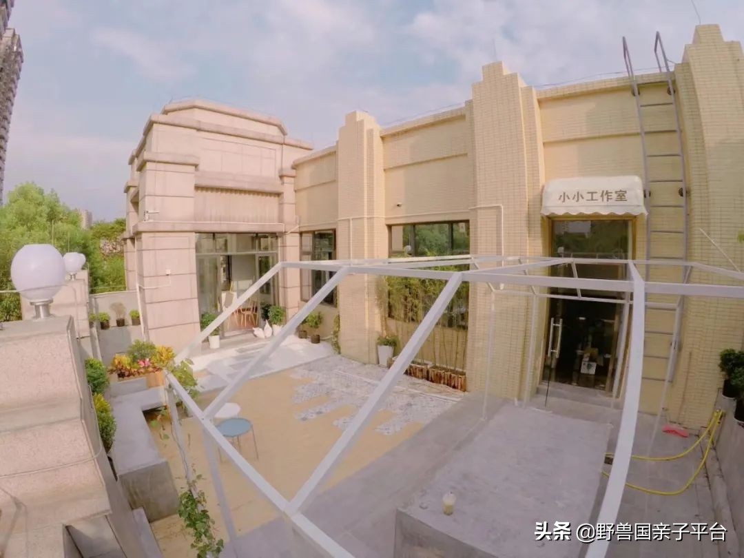 广州学画画机构,东莞学画画排行榜