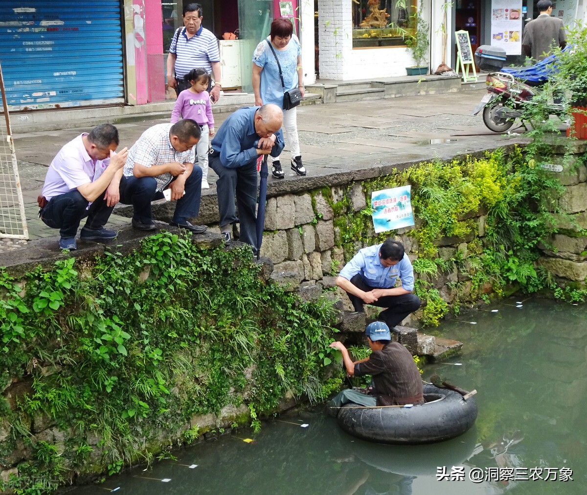 黄鳝怎么捕捉,黄鳝如何捕捉