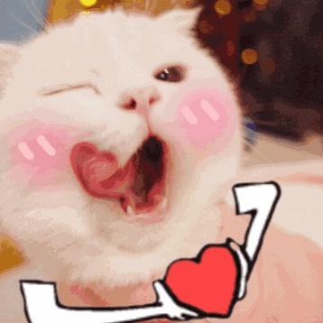 学生党平价抗皱精华推荐,干皮护肤精华搭配平价