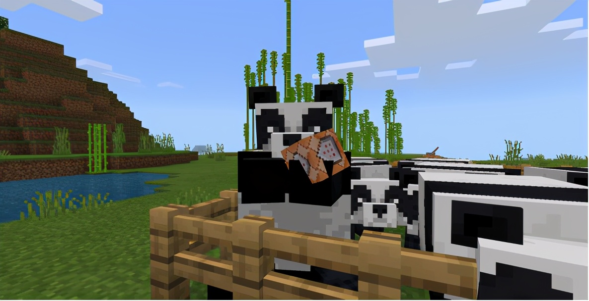 我的世界熊猫吃什么会繁殖,我的世界熊猫怎么繁育出特殊熊猫