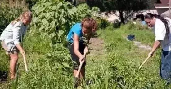 国外休闲农场大全,为什么国外农场规模大