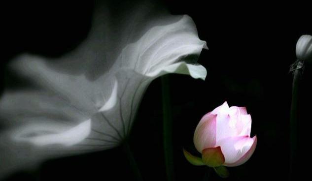 易经说:一个家庭常出变故?十有八九是出了4个“怪人”,要注意