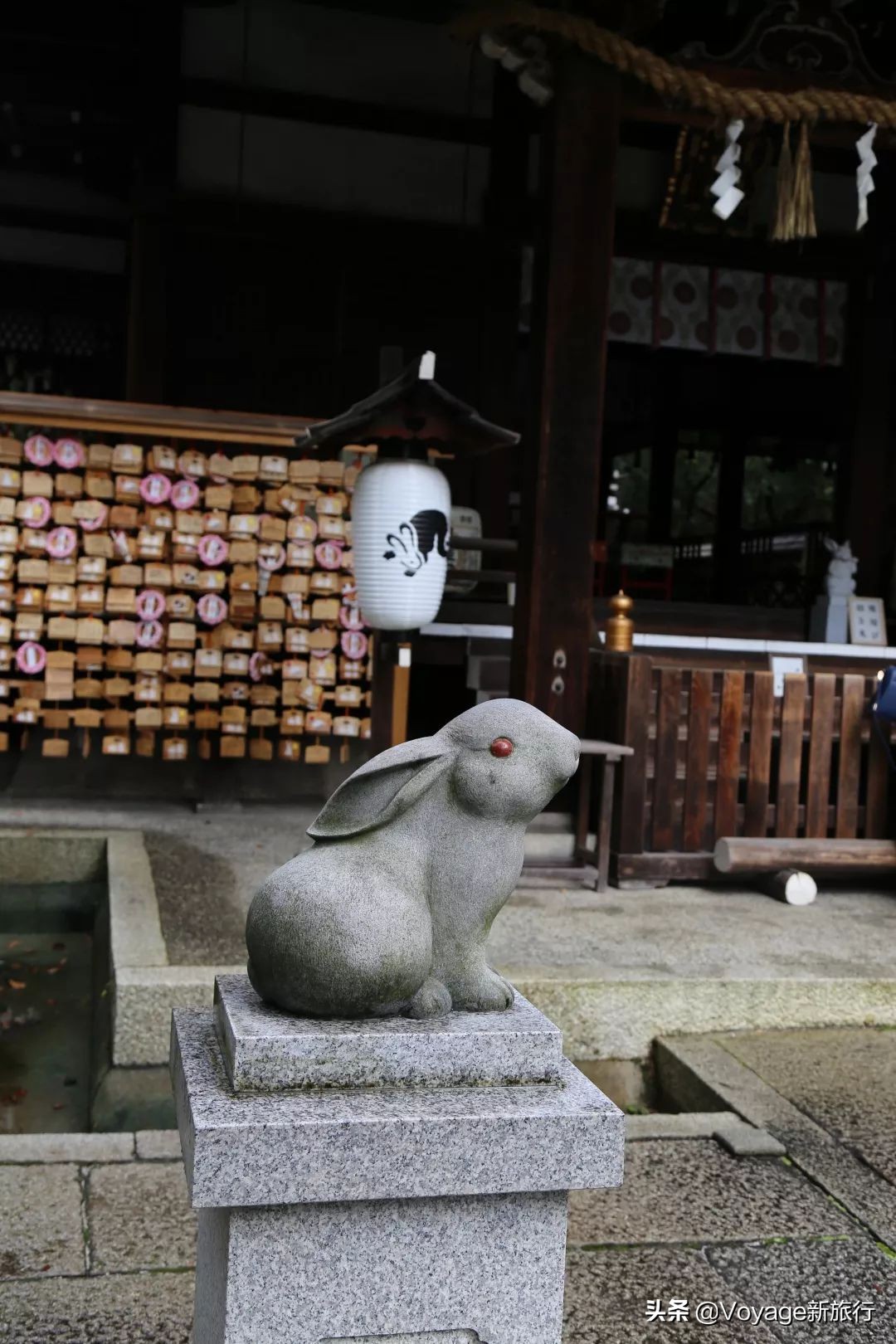 如果一生只能去一次北海道,如果一生只能去一次甘南