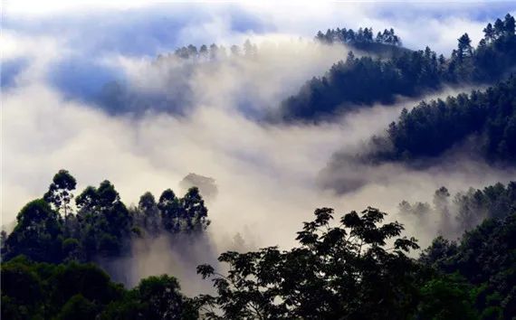 四川宜宾市长宁县竹海新闻,天府竹海景点