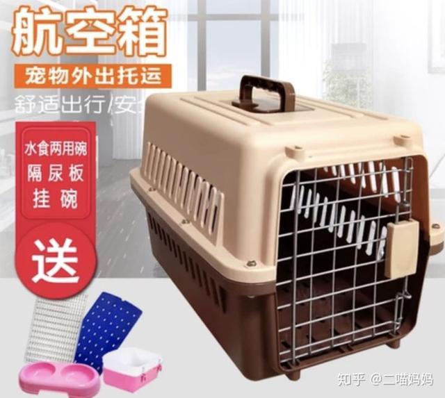 铲屎官的日常操作方法,新手铲屎官如何与猫咪愉快的交流