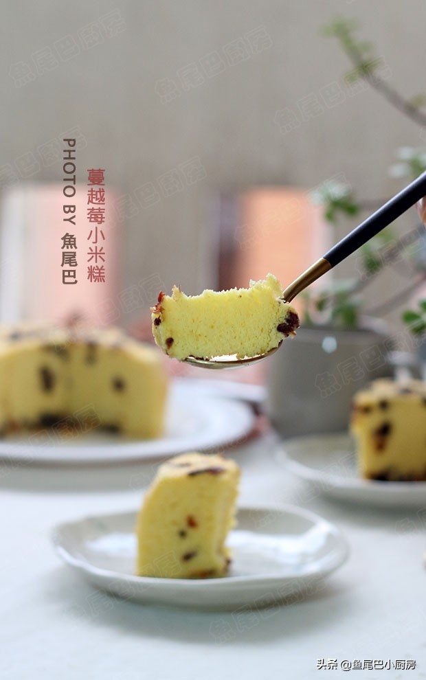 小米蒸糕的做法好吃不用模具,小米蒸糕最好吃的做法