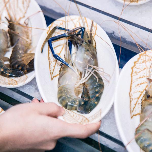 帝王蟹波龙象拔蚌,陆家嘴帝王蟹