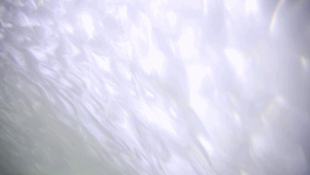 减脂不瘦胸的小秘密|黛安芬快闪店体验“梦幻水盈秘境...