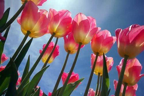 适合发朋友圈的爱情说说，句句简短走心！