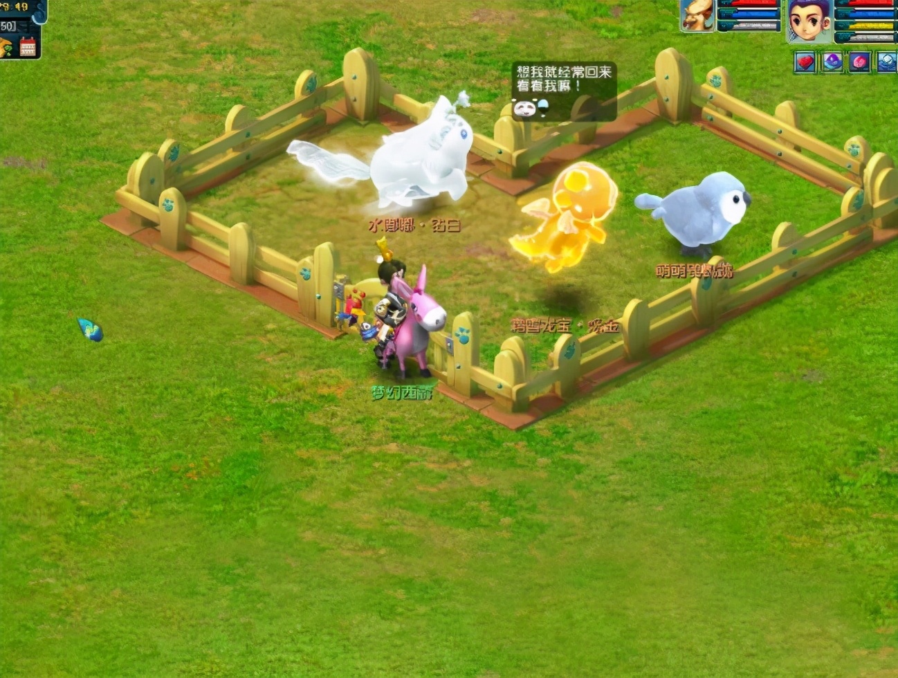 梦幻西游杨洋杀破狼,梦幻西游杨洋最强阵容