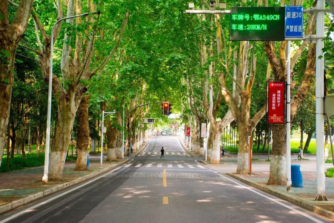 全国第一!华中农业大学真是太太太牛了