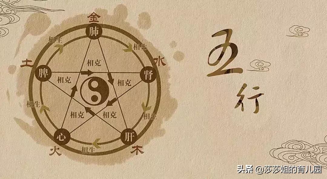 五脏养生的四季规律,五脏与体质养生