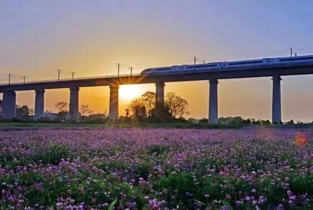 来长沙一定要来橘子洲,长沙橘子洲值得去吗