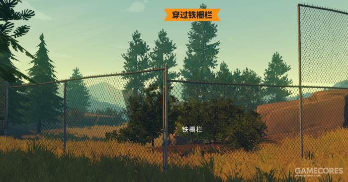 落基山脉森林,落基山森林