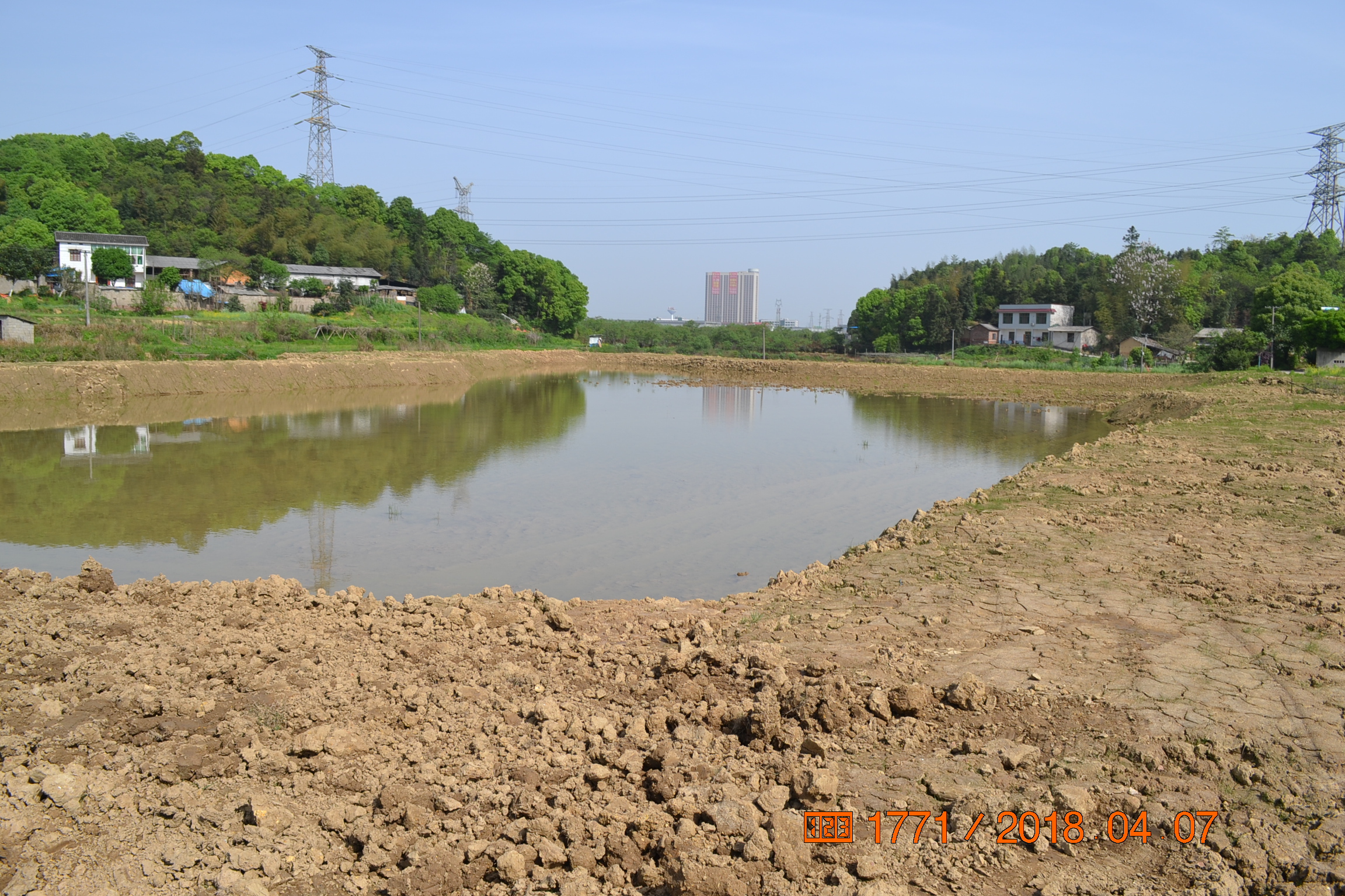 湖南最好的锦鲤养殖基地,湘潭锦鲤养殖