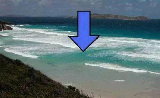 海洋中可怕的杀手,海洋隐藏的杀手