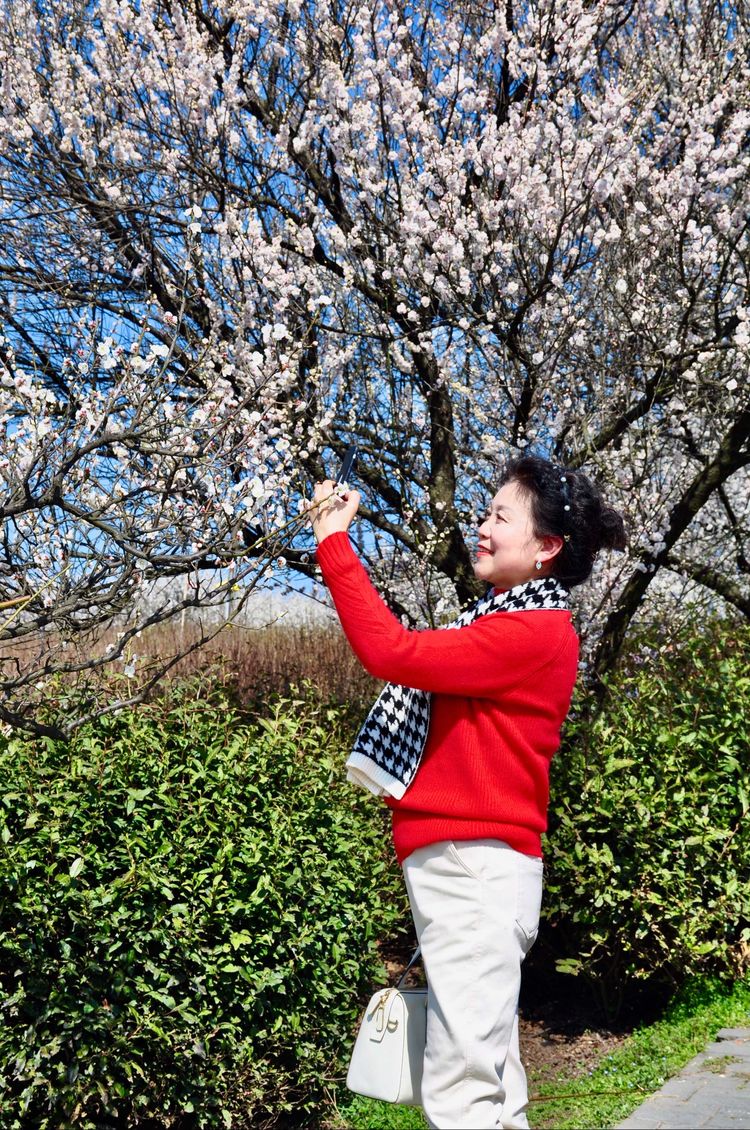 傅家边野营,走进金溪傅家村
