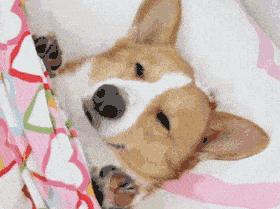 健康乐享官,健康乐享官健身打卡