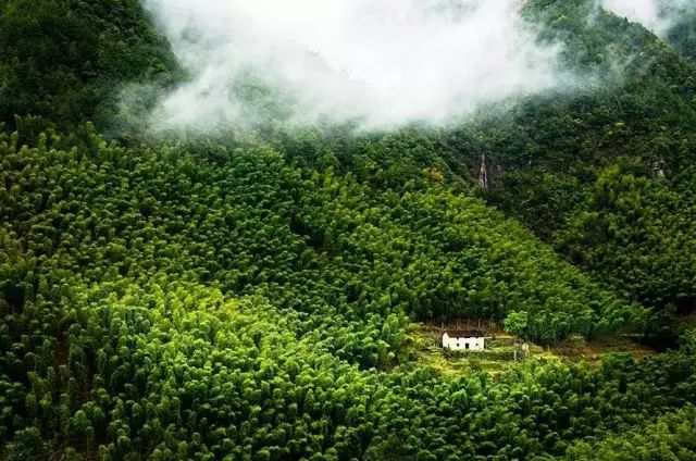 深山老林自建豪华木屋隐居生活,90后小情侣隐居深山建别墅仅花6万