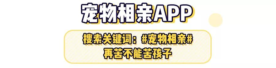 用闲鱼买东西不会被坑,用闲鱼的大部分是什么人