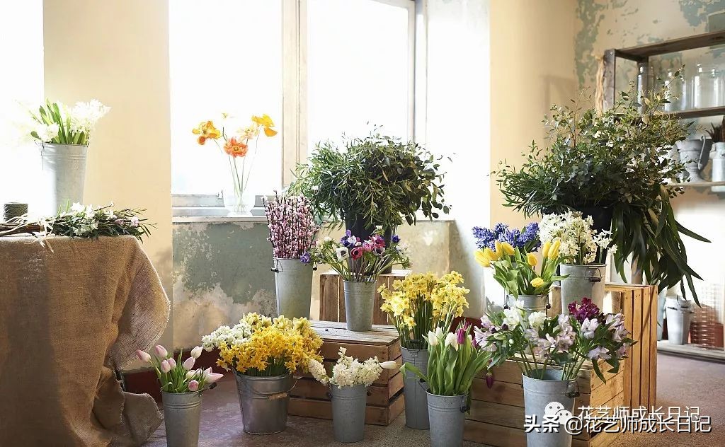 花店护理花小技巧,花店花材养护及资料整理