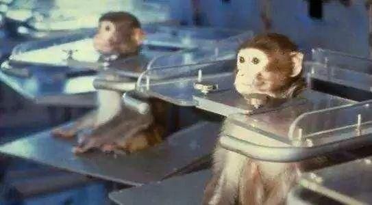 武汉肺炎，本可以不发生的。