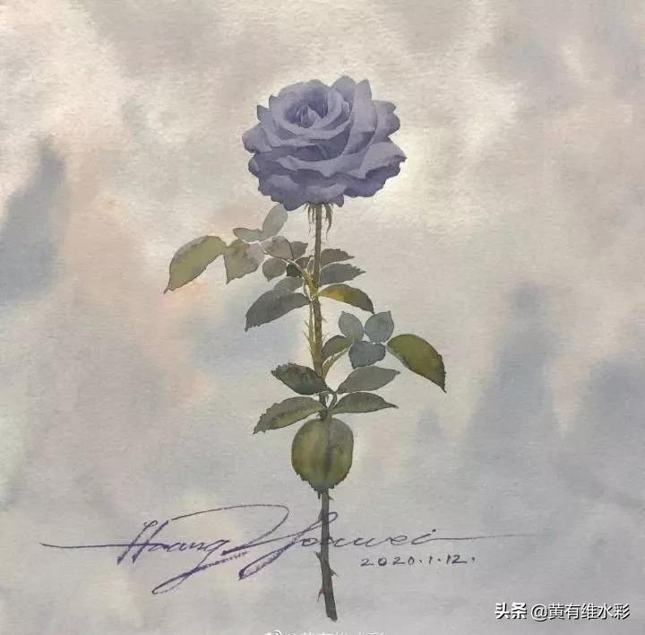 淡蓝色花朵水彩画,蓝色花主题水彩画复杂