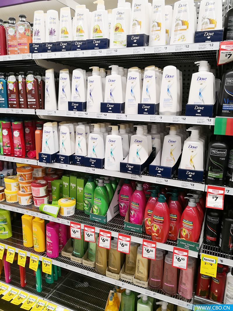 奇思妙想探索奥秘,奇思妙想的极地探索之旅